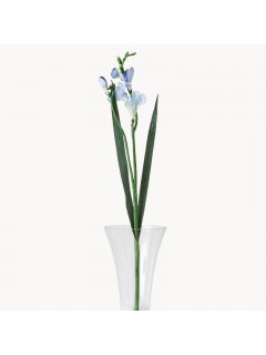 Sunbury Blue Freesia